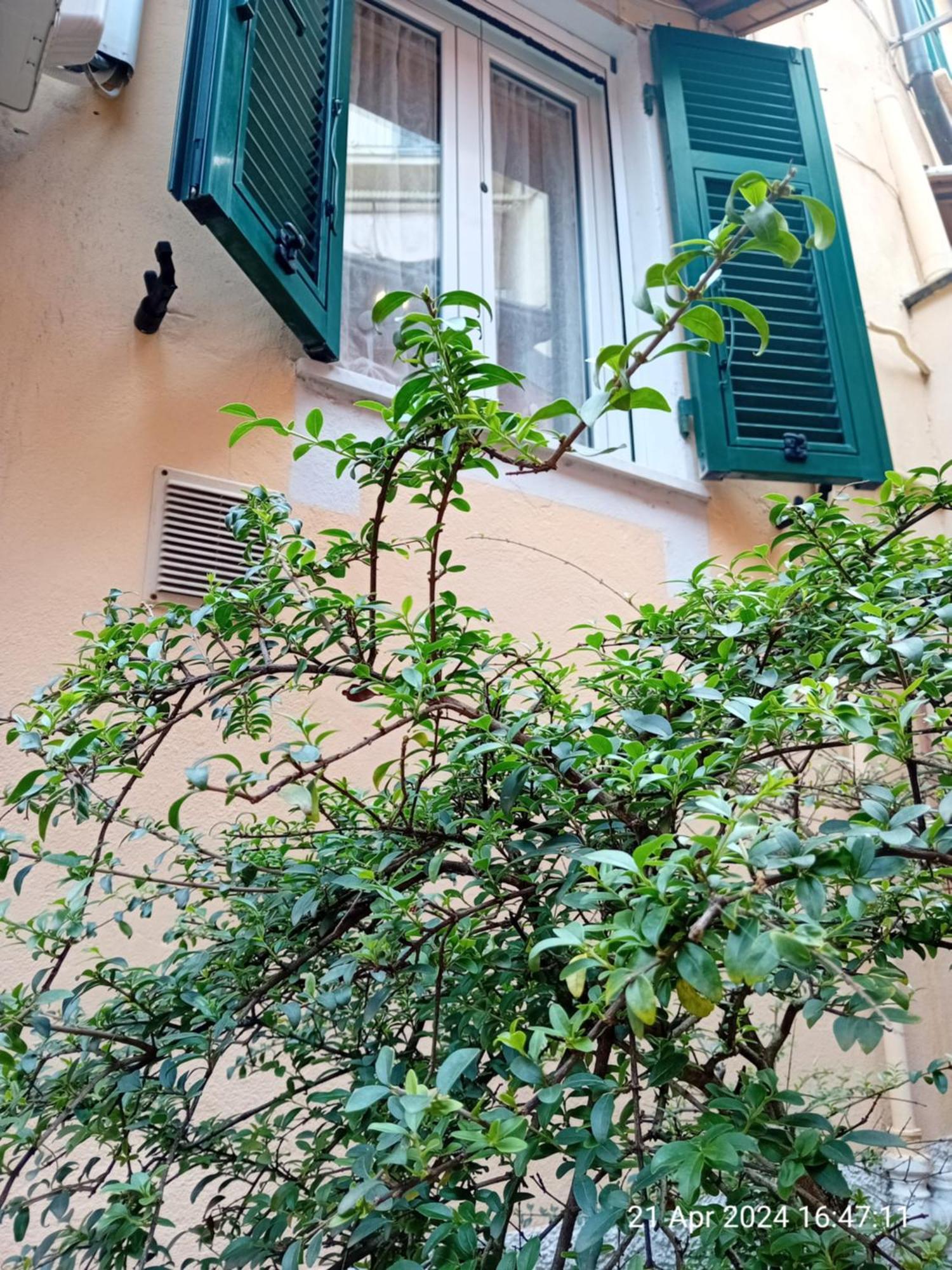 Appartamento Il Vicolo La Spezia Cinque Terre Esterno foto