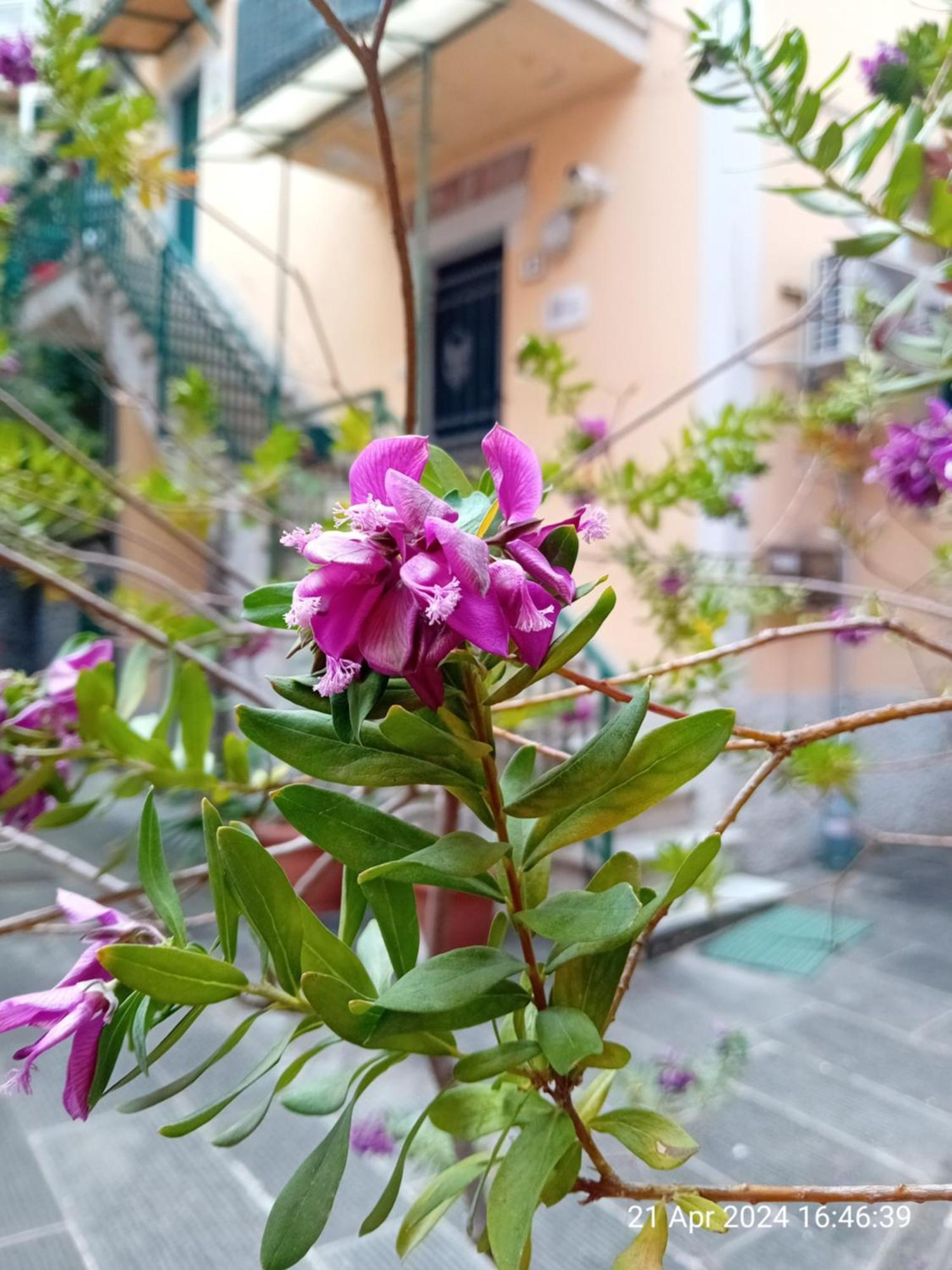Appartamento Il Vicolo La Spezia Cinque Terre Esterno foto
