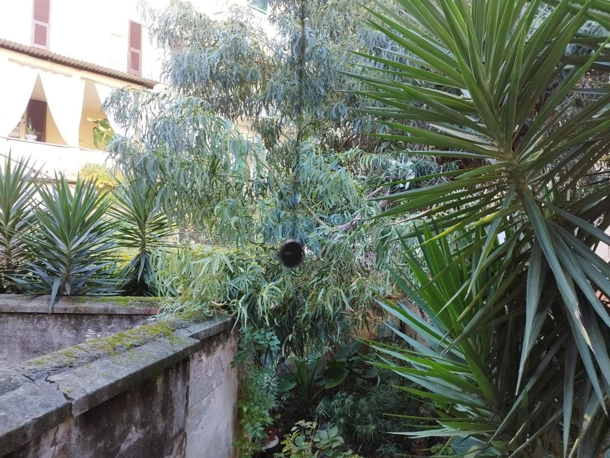 Appartamento Il Vicolo La Spezia Cinque Terre Esterno foto
